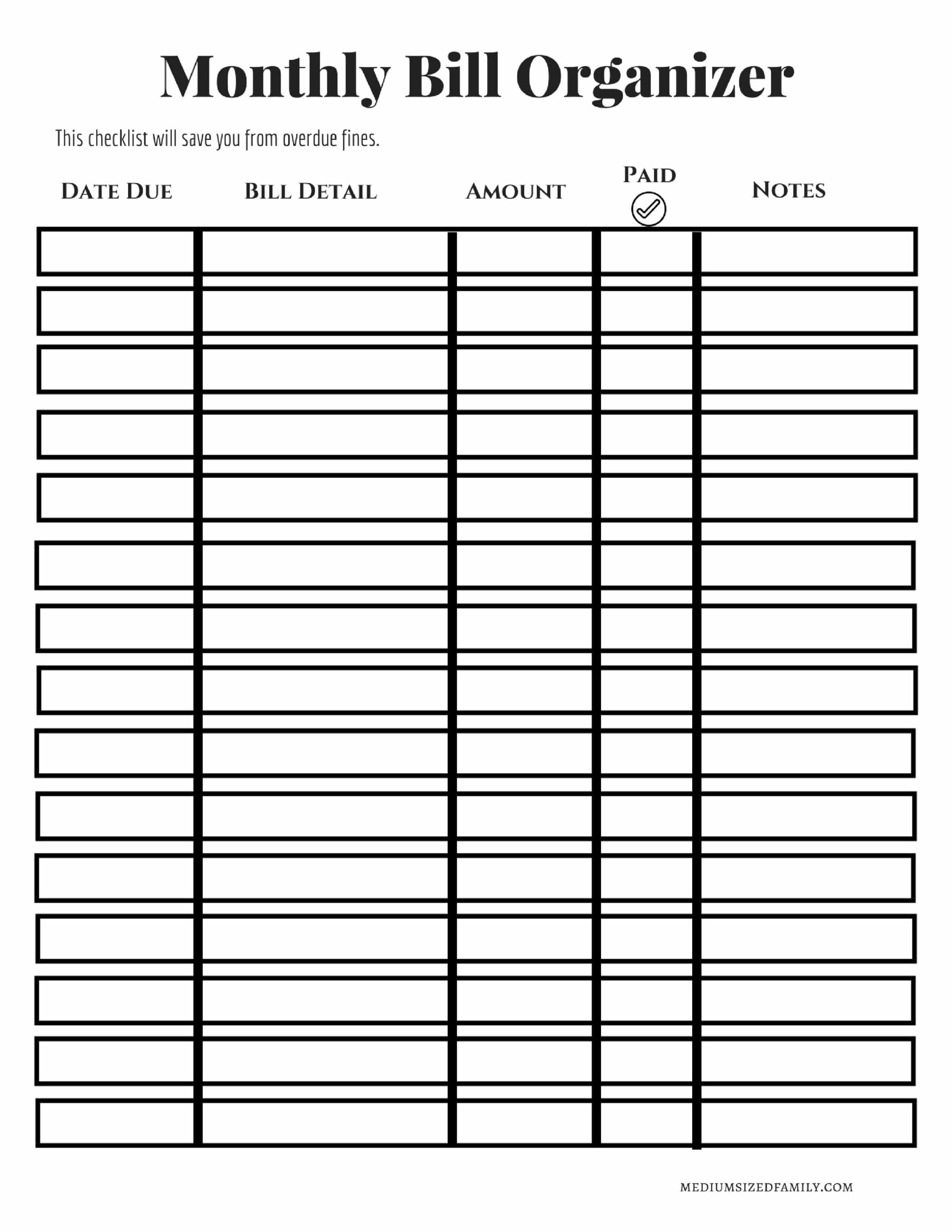 013 Template Ideas Monthly Bill Organizer Excel Paying Word Free Catch 
