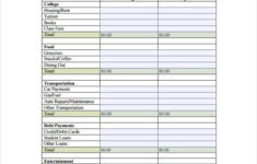Budget Spreadsheet Template 12 Free Word Excel PDF Documents